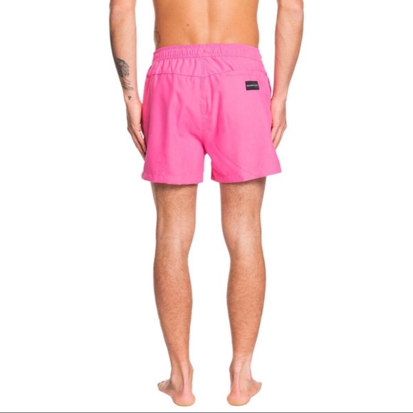 Quiksilver Everyday Volley Boardshorts - Picture 3 of 4